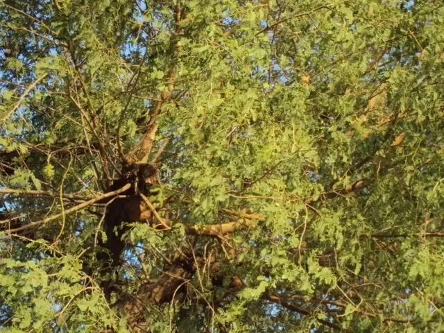 summer-impressions bodyImage